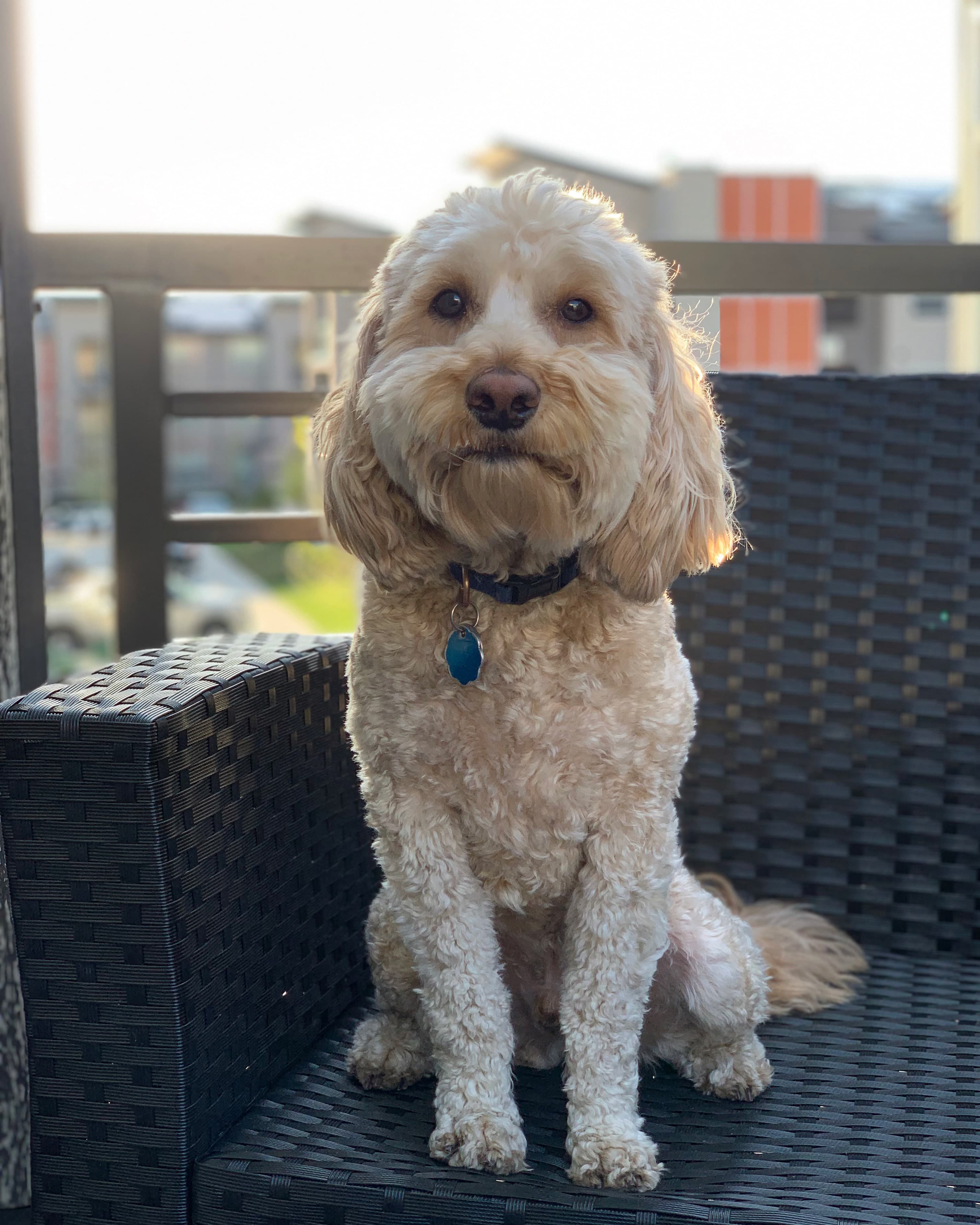 arto